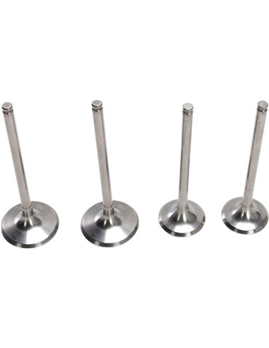 Kit de válvula de admissão e mola de aço inoxidável Pro Crf250R Moose Racing Hp M30-32315