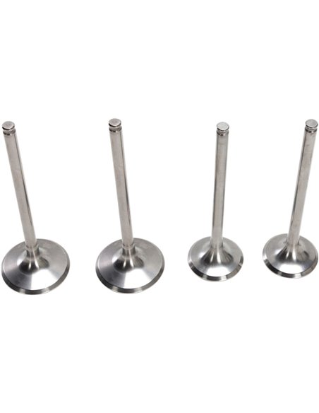 Kit de válvula de admissão e mola de aço inoxidável Pro Crf250R Moose Racing Hp M30-32315