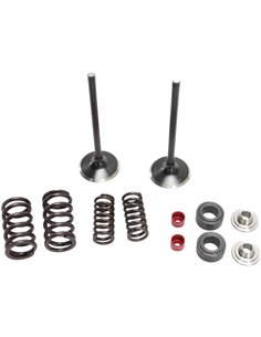 Crf250R Moose Racing Hp M30-32440 Stainless Steel Intake Valve & Spring Kit