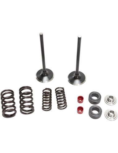Kit de muelle y válvula de admisión de acero inoxidable Crf250R Moose Racing Hp M30-32440