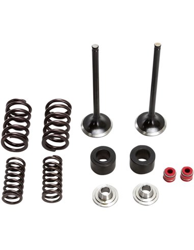 Kit de soupape d'admission et de ressort en acier inoxydable Crf250R Moose Racing Hp M30-32450