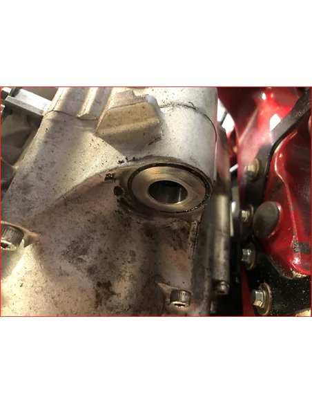 Casquillos motor ZIP YFZ 450 R