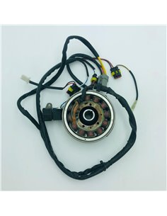 Alternador y stator completo Ducati original GASGAS quad