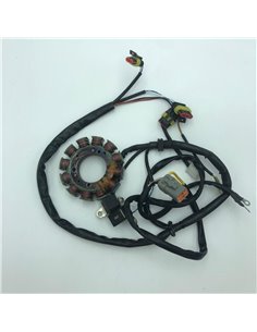 Stator Ducati original GASGAS quad