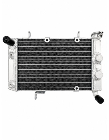 Radiador BPR SUZUKI LTZ 400 03-08