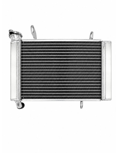 Radiador BPR SUZUKI LTZ 400 03-08