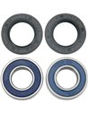 Wheel Bearing & Seal Kit ALL BALLS - MOOSE 25-1054