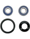 Wheel Bearing & Seal Kit ALL BALLS - MOOSE 25-1069