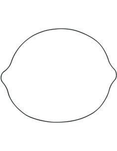 Clutch cover gasket Rm250 96 Moose Racing Hp 817521