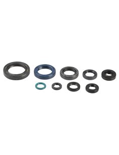 Kit de retenes del motor Athena P400210400126