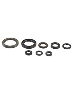 Kit de retens de l'motor Athena P400210400202