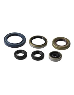 Kit de retens de l'motor Athena P400270400013