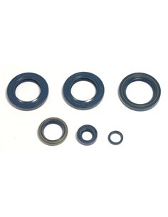 Kit de retens de l'motor Athena P400270400051