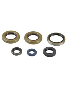 Kit de vedação do motor Athena P400270400042