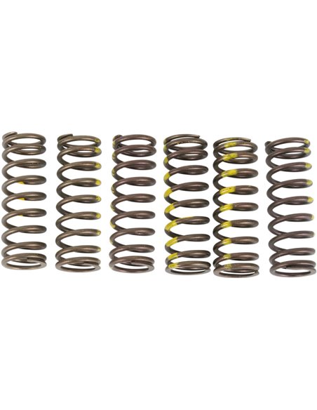 Conjunto de molas de embreagem PRO CIRCUIT CSS05450
