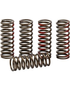 Juego de muelles de embrague PRO CIRCUIT CSH18250-CS