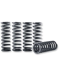 Spring Clutch Kit Hi-Temp 5-Set Kawasaki HINSON CS26450409
