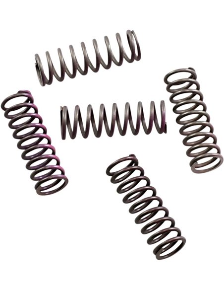Kit de 5 ressorts d'embrayage Hi-Temp Honda / Ktm HINSON CS33050509