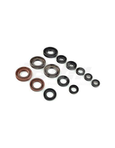 Kit retens de motor CR250R 92-05 666A256SR