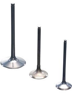 Válvula de escape de titânio ProX 2824011