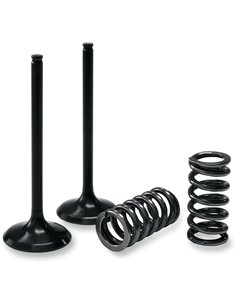 Kit de válvula de aço e mola de escape ProX 28.SES4409-1