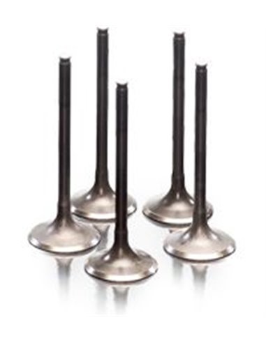 ProX steel valve Ø 31.00 length 80.45 Ø neck 4.97 28.1413-1