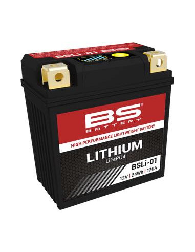 Batterie au lithium BS BATTERY BSLI-01 LFP01