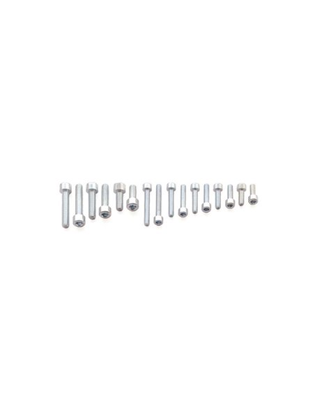 Tornillos BTR BOLT M6 x 1 x 25mm Bolt 024-50625