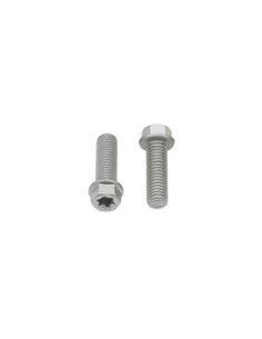 Tornillos con cabeza hexagonal/Torx BOLT M8 x 1,25 x 25mm Bolt 024-60825