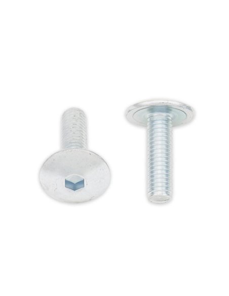 Tornillos cabeza redonda plana BOLT M6 x 1,00 x 20mm Bolt 024-90620