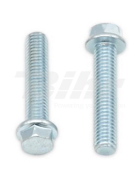 Tornillos con cabeza hexagonal de brida BOLT 8mm M6 x 1,00 x 30mm Bolt 024-10630