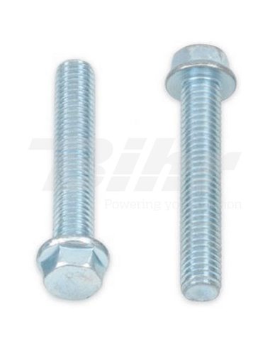Tornillo Hexagonal M6x35 (10 uds.) Bolt 024-10635