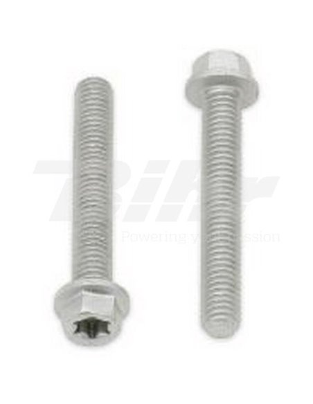 Tornillos con cabeza hexagonal/Torx BOLT M6 x 1,00 x 40mm Bolt 024-60640