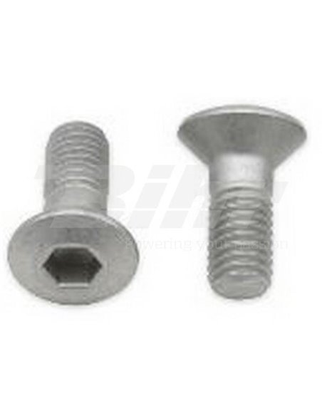 Tornillo Subchasis KTM M8x16 (10 uds.) Bolt 024-80816