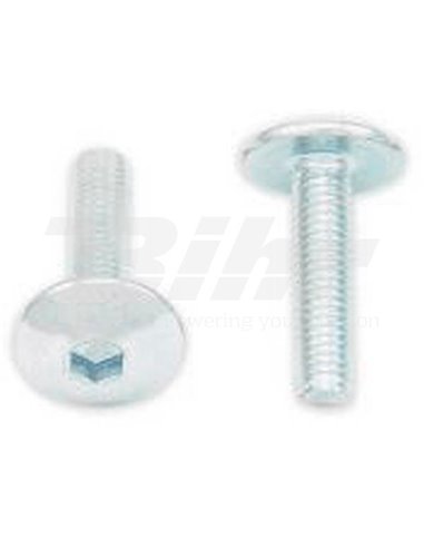 Tornillos cabeza redonda plana BOLT M5 x 0,80 x 20mm Bolt 024-90520