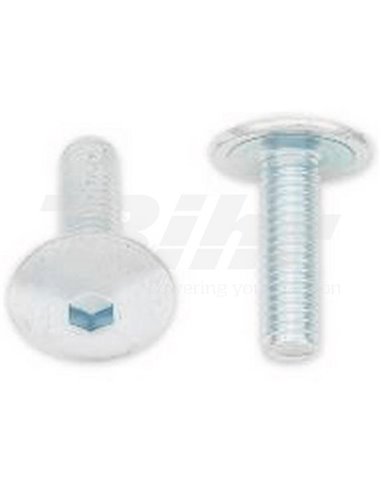 Tornillos cabeza redonda plana BOLT M6 x 1,00 x 20mm Bolt 024-90620