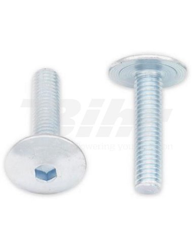 Tornillos cabeza redonda plana BOLT M6 x 1,00 x 25mm Bolt 024-90625