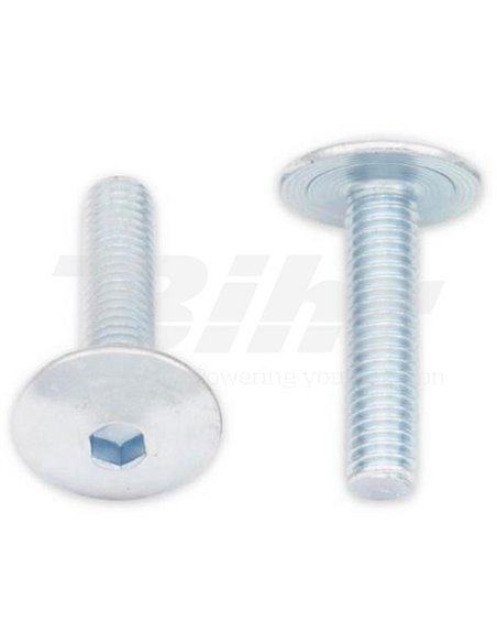 Tornillo ULS (cabeza grande) M6x25 (10 uds.) Bolt 024-90625