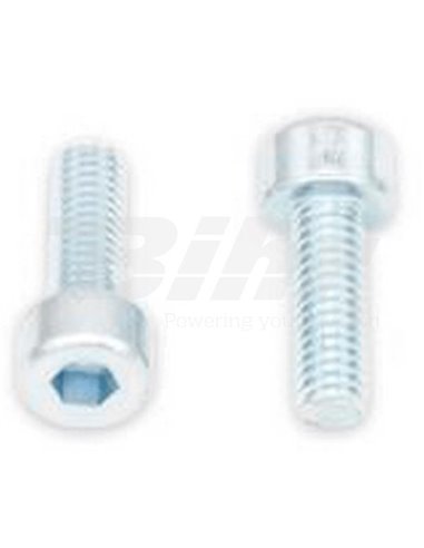 Tornillos BTR BOLT M4 x 0,7 x 12 Bolt 024-50412