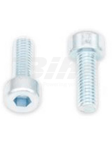 Tornillos BTR BOLT M4 x 0,7 x 12 Bolt 024-50412