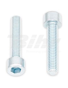 Tornillos BTR BOLT M6 x 1 x 12mm Bolt 024-50612