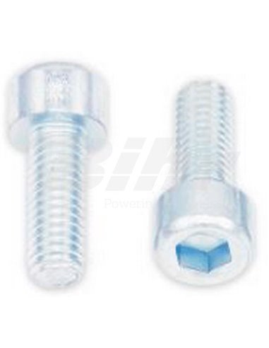 Tornillos BTR BOLT M6 x 1 x 16mm Bolt 024-50616