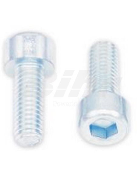 Tornillos BTR BOLT M6 x 1 x 16mm Bolt 024-50616