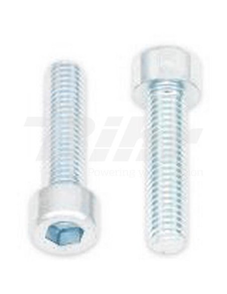 Tornillo Allen M6x25 (10 uds.) Bolt 024-50625