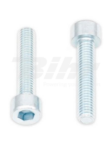 Tornillo Allen M6x30 (10 uds.) Bolt 024-50630