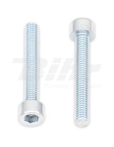 Tornillos BTR BOLT M6 x 1 x 40mm Bolt 024-50640