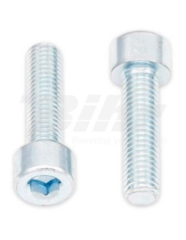 Tornillos BTR BOLT M8 x 1,25 x 30mm Bolt 024-50830