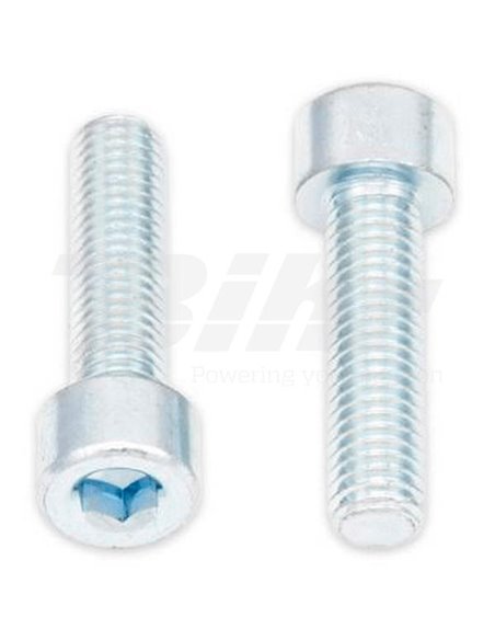 Tornillos BTR BOLT M8 x 1,25 x 30mm Bolt 024-50830