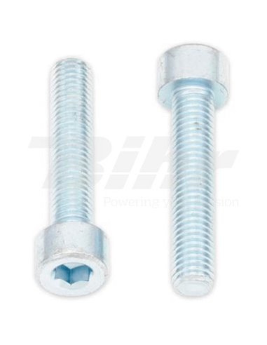 Tornillo Allen M8x40 (10 uds.) Bolt 024-50840