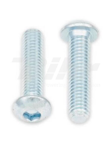 Tornillos cabeza redonda gruesa BOLT M6 x 1 x 25mm Bolt 024-40625